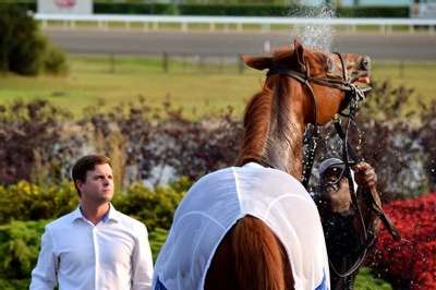 JOHN BURNESS: “I DON’T THINK IN MY LIFETIME I EVER DREAMED ABOUT HAVING A HORSE THAT WOULD WIN A GRADE 1"